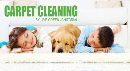 Carpet_cleaning_torrance_facebook